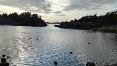 15 цитата, които ще направят деня ти по-добър