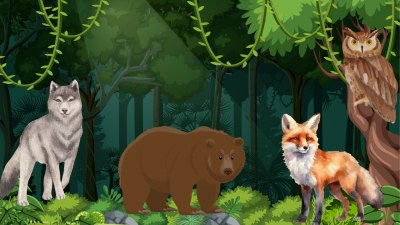 ТЕСТ: Какъв е твоят животински инстинкт?