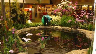 Перфектните летища в света