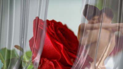 Пет причини за изневяра: Неверници признават какво ги кара да кръшкат